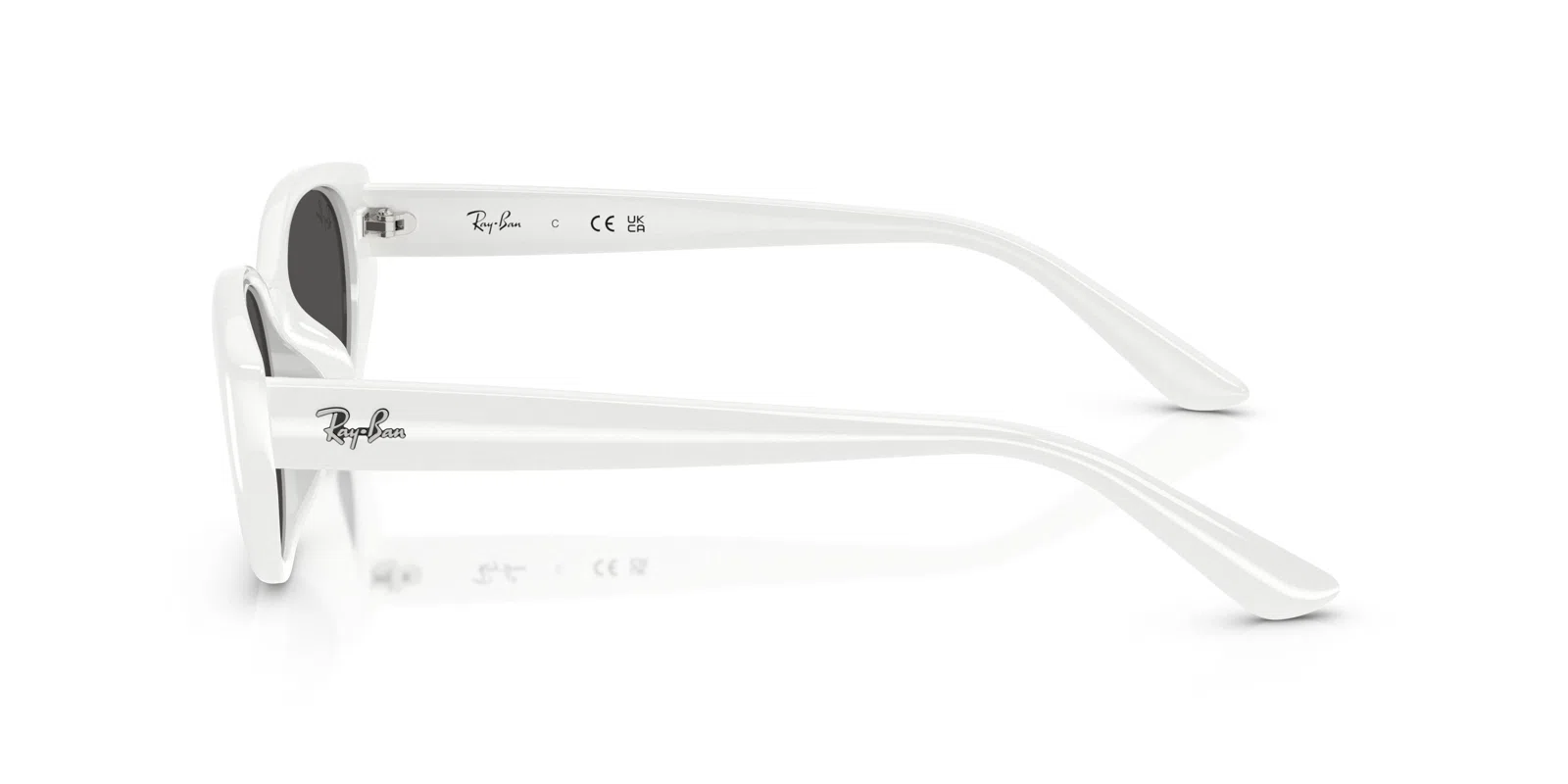 Ray-Ban 4457D Sunglasses - view 24